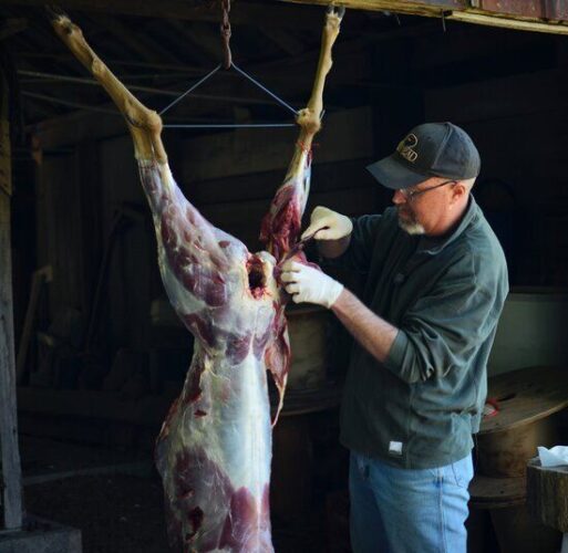 Managing Your Property for Healthy Wildlife with Dr. Grant Woods, Part 1